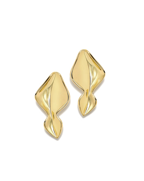 Pendientes Nature