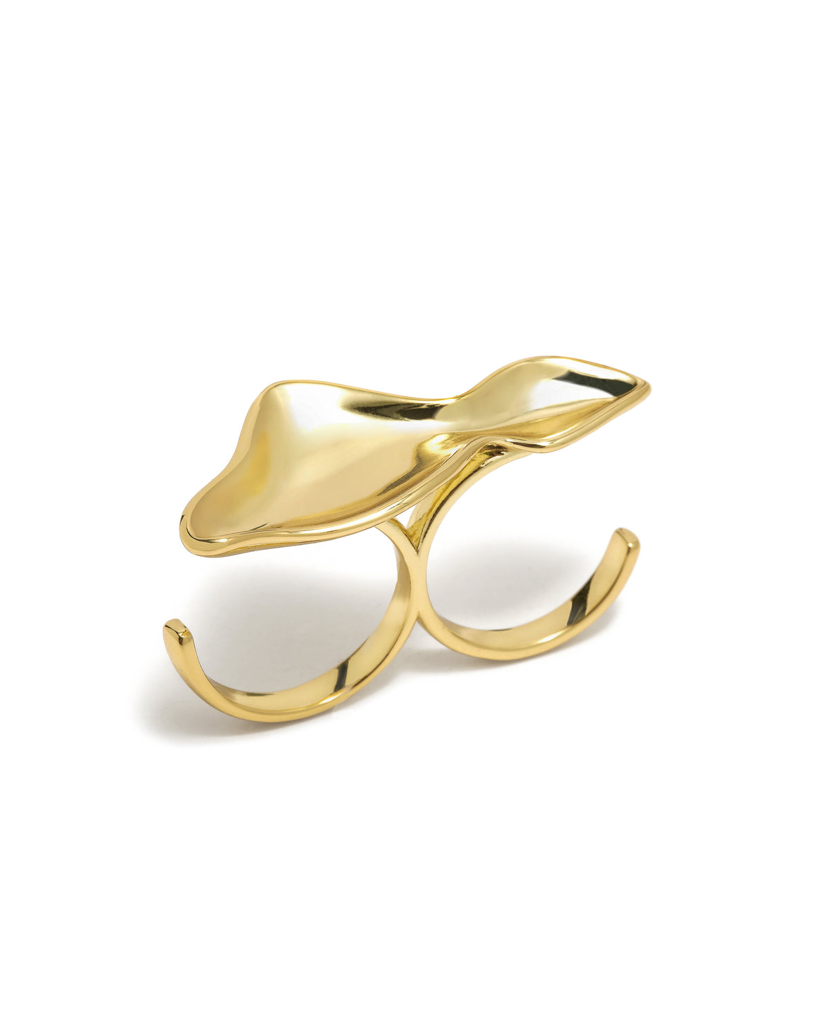 Anillo Nature