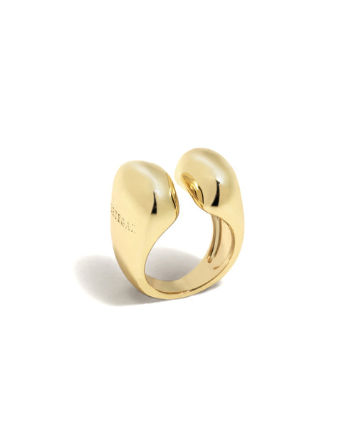 Anillo Ander