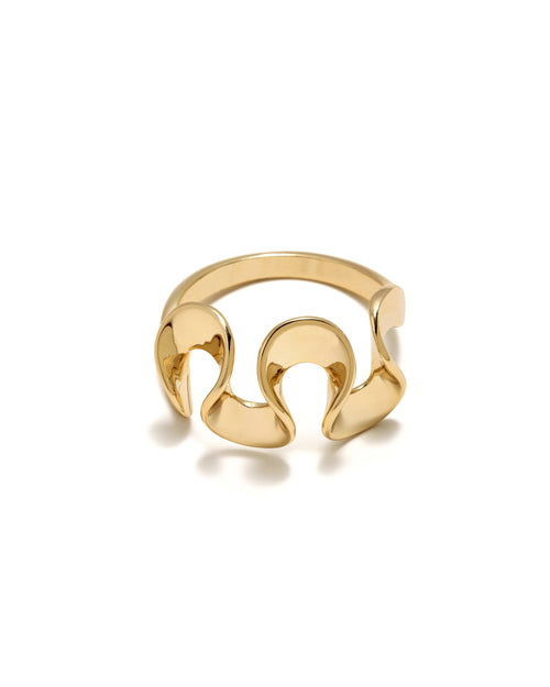 Anillo Rocío Eses